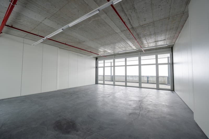 Office space with large rooftop terrace (4)