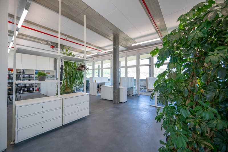 Office space with large rooftop terrace (2)