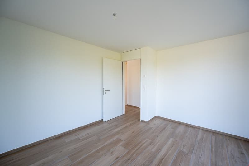 Appartement de location de luxe 1er étage gauche (12)