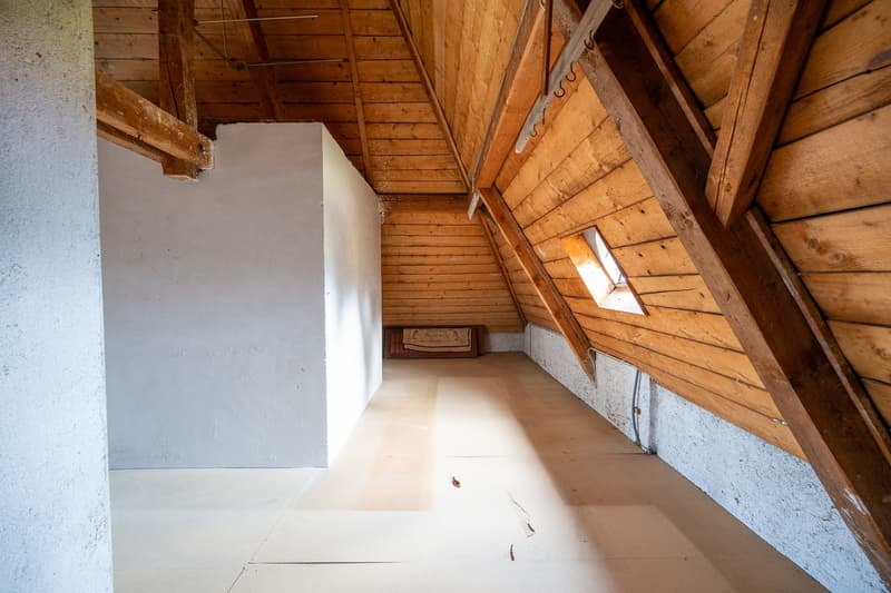 Herrschaftliche 6-Zimmer-Villa mit traumhafter Panoramasicht in Burg AG (9)
