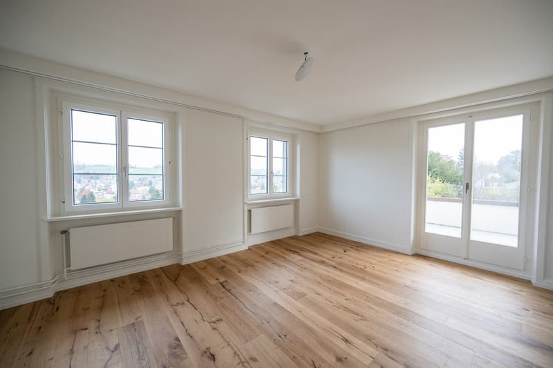 Herrschaftliche 6-Zimmer-Villa mit traumhafter Panoramasicht in Burg AG (6)