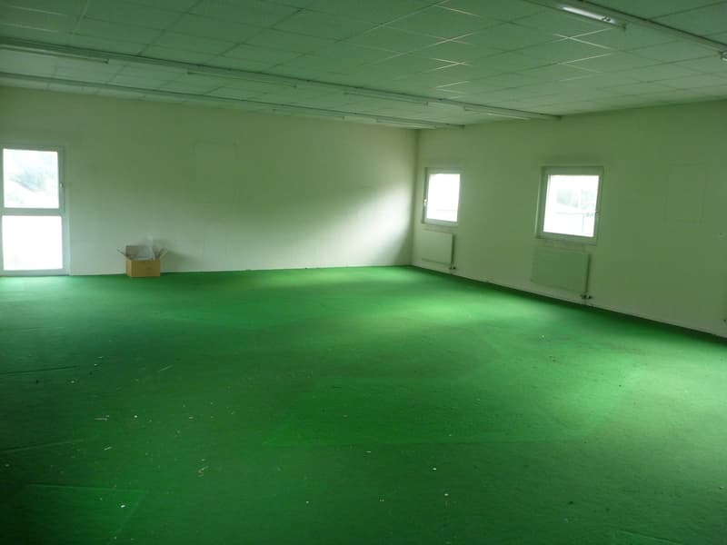 Empty room, fluorescent ceiling lights, green flooring, three windows, storage box on the floor.