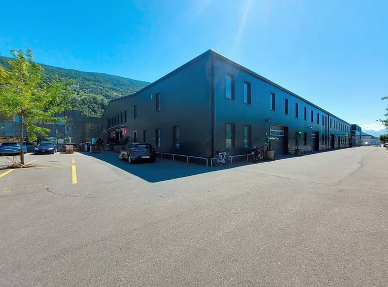 Industrial building with multiple windows and a sloped roof, situated in front of a hill. Cars parked in front of the building, bicycles leaning against the building, and potted plants near the entrance.