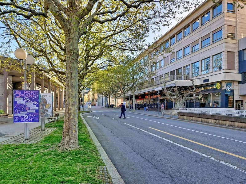 A street with trees, a bench, and a person walking. There is a building with glass windows and a sign that reads 'Les Brasseurs'.
