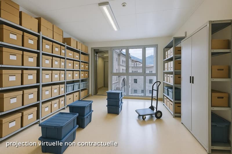 Storage room with shelves, boxes, and a trolley
