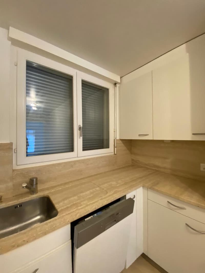 Sion, 3-Zimmer-Wohnung im Stadtzentrum und nahe der Place du Midi (9)