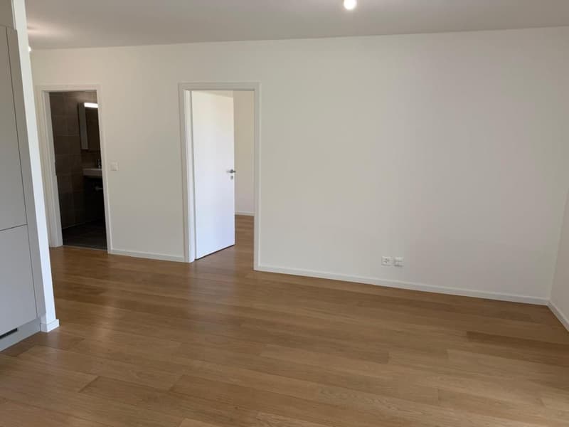 Uvrier / Sion – Magnifico appartamento di 2.5 locali con terrazza e posto auto (4)