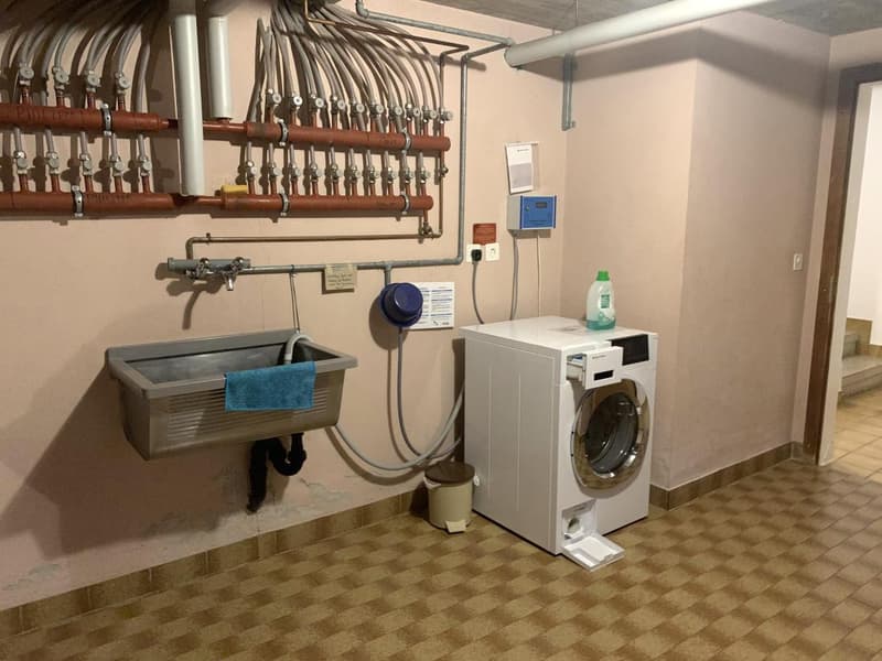Granois / Savièse – Appartement rénové de 3 pièces au cœur du village (11)