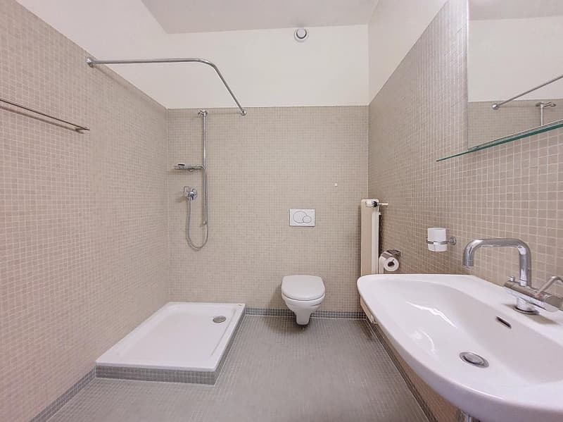 Sion, 5-Zimmer-Wohnung in der Nähe von Schulen und dem St-Guérin-Viertel (21)