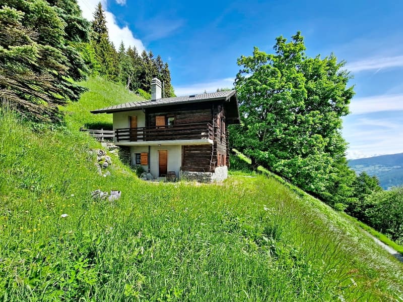 Hérémence, chalet, mayen coup de cœur de 67 m2 aux Collons en pleine nature proche des pistes de ski (13)