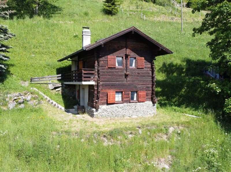 Hérémence, chalet, mayen coup de cœur de 67 m2 aux Collons en pleine nature proche des pistes de ski (1)