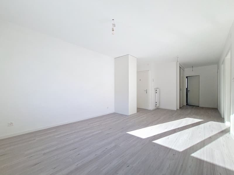 Sion, appartement de 3.5 pièces moderne de 80 m2 avec balcon au sud et place de parc (3)