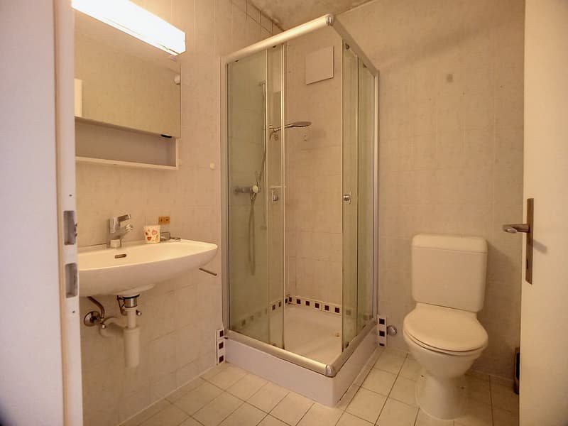 Sion, appartement de 5.5 pièces au cœur du quartier de Vissigen avec place de parc (20)