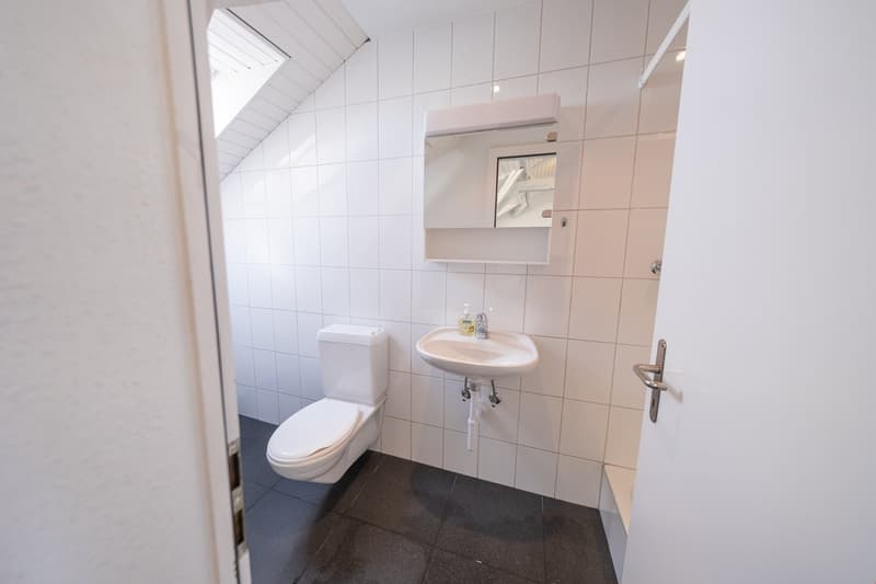 small bathroom with white tiles, toilet, sink, mirror, shower in the room