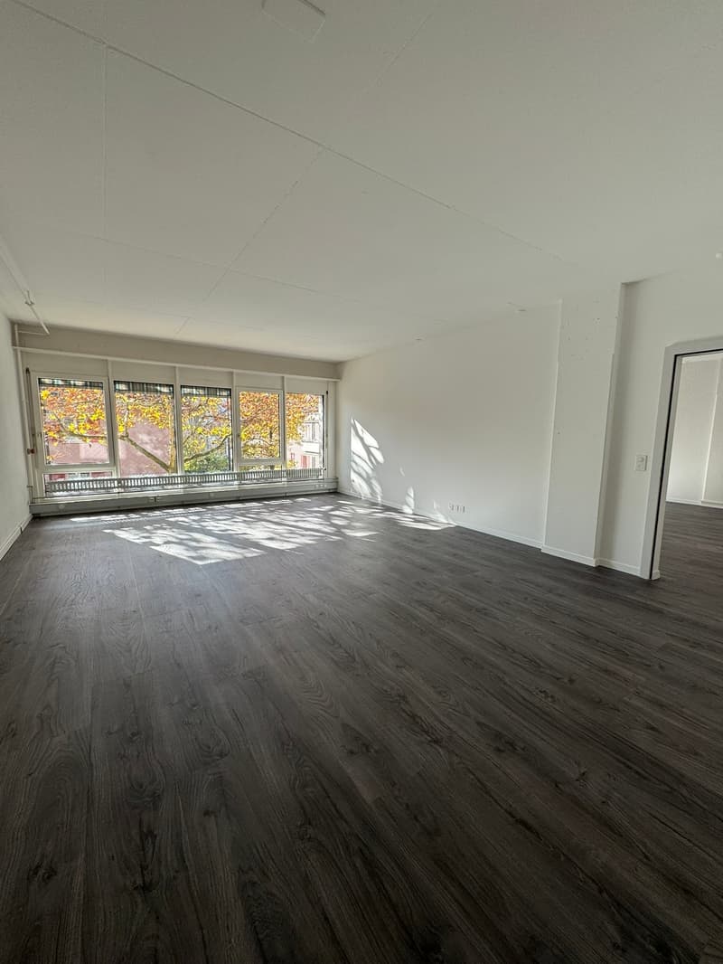 Empty room with hardwood floors, large windows, white walls, ceiling lights