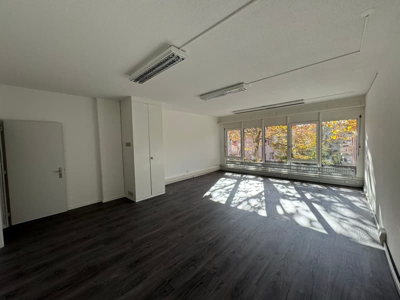 empty room, white walls, wooden floor, large windows, ceiling lights
