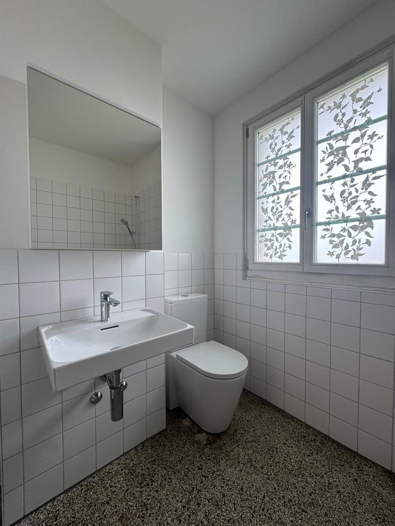 Tolle 2 1/2-Zimmerwohnung im Breitsch (7)