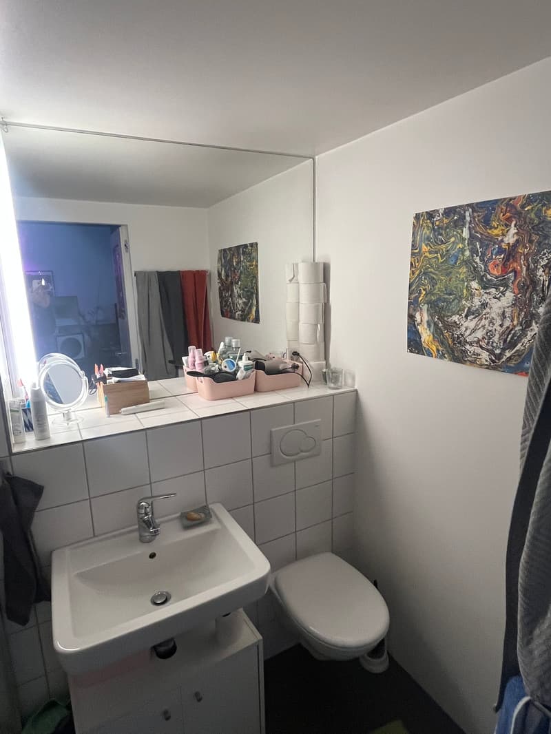 Loft-Wohnung im Obstbergquartier (6)