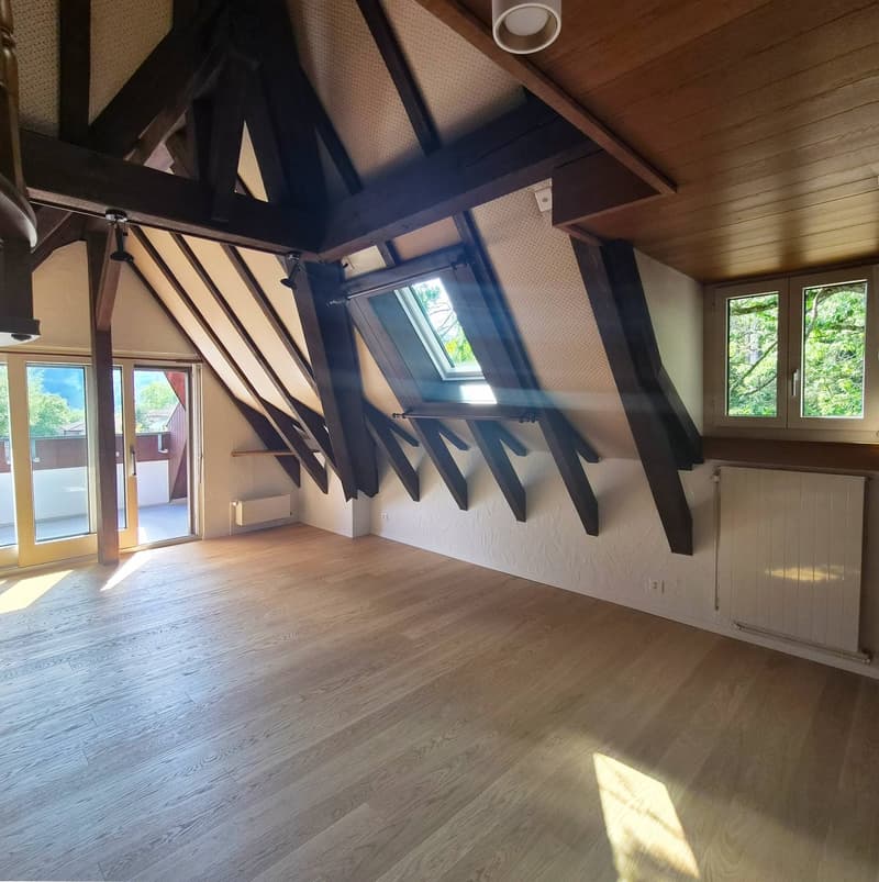 3-Zimmer-Dachwohnung an ruhiger Lage in Bern (3)