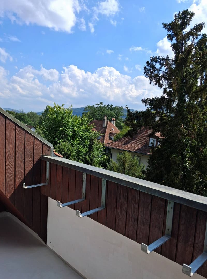 3-Zimmer-Dachwohnung an ruhiger Lage in Bern (4)