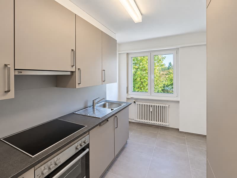 4.5-Zimmer-Wohnung mit Balkon ,1 Bad und 1 Seperaten WC in Füllinsdorf – ab sofort verfügbar! (6)