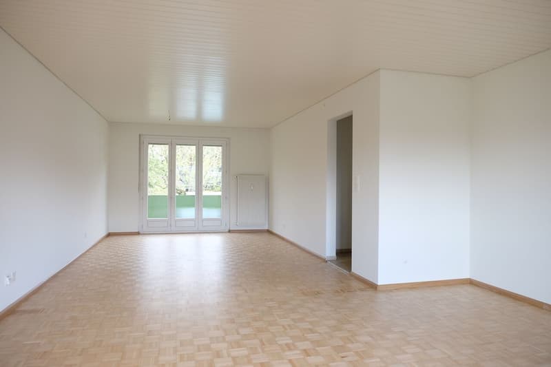 grosszügige 3.5-Zimmerwohnung mit Garage in Riehen (3)