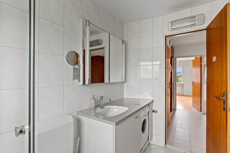 4-bedroom apartment with a dreamy far-reaching view in Wangen an der Aare (10)
