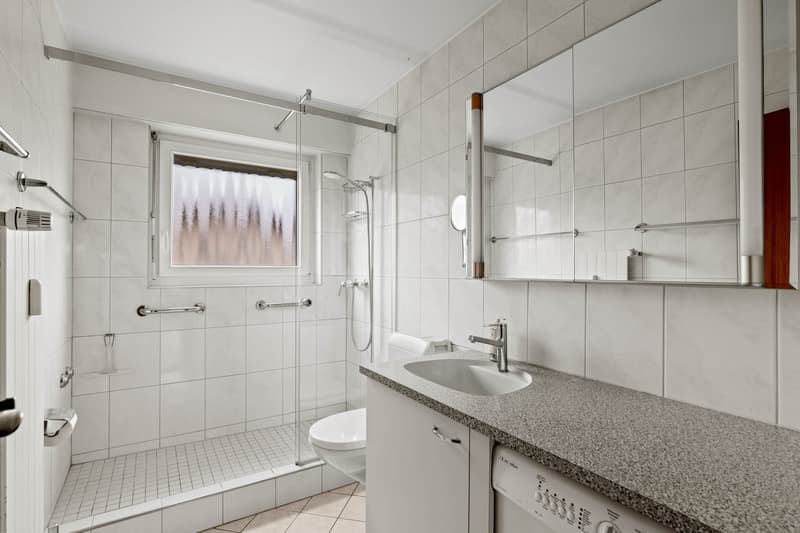 4-bedroom apartment with a dreamy far-reaching view in Wangen an der Aare (9)