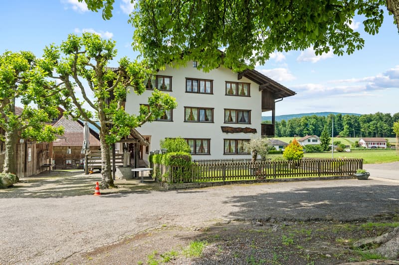 Mehrfamilienhaus mit zusätzlichem Bauland (3)