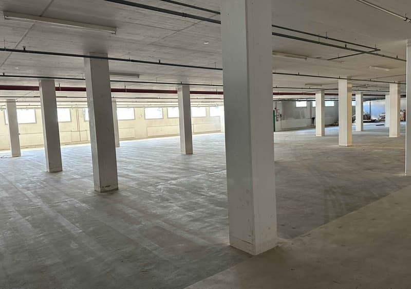 Large open space with concrete floor, white walls, and multiple support columns. The space appears to be a warehouse or industrial facility, with a spacious and unfinished interior.