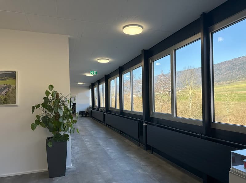 Spacious office corridor with large windows overlooking a scenic outdoor landscape, concrete flooring, white walls, recessed lighting, and a potted plant.