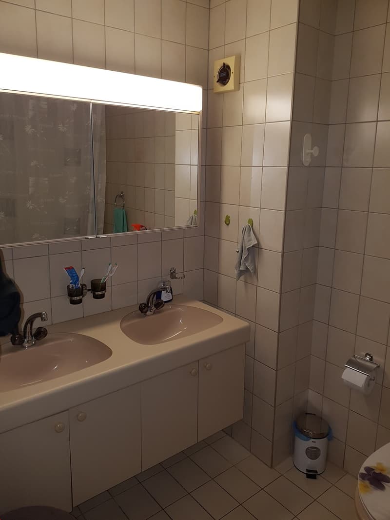 Large 3.5-room apartment with balcony-veranda (5)