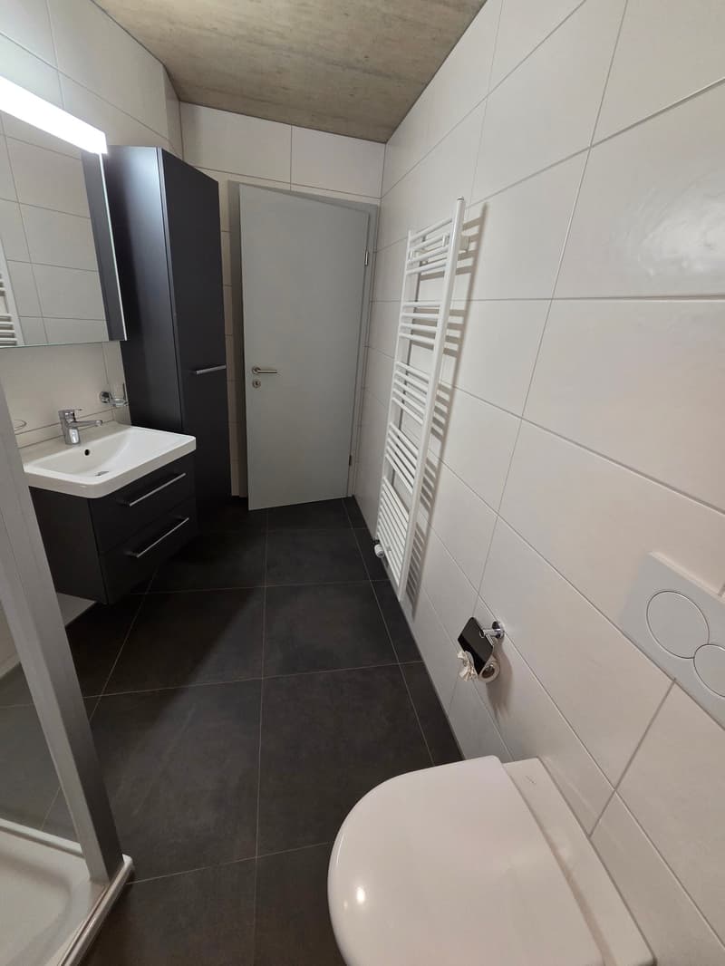 Mansarda di 3.5 locali con terrazza (5)