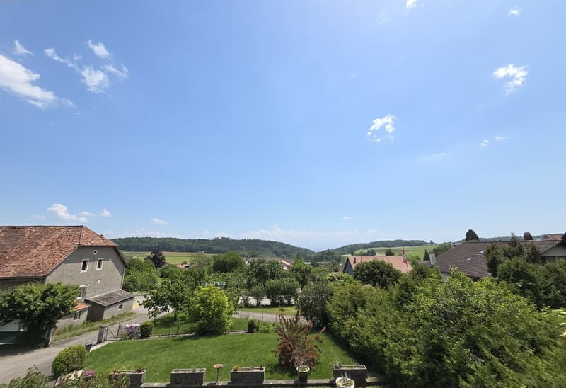 Haus mit 2 Apartments und atemberaubendem Blick auf die Alpen (1)