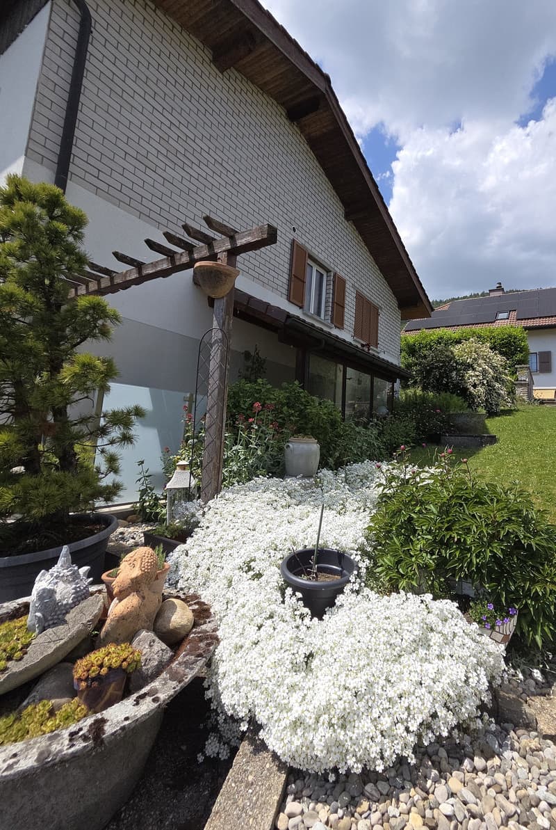 Haus mit 2 Apartments und atemberaubendem Blick auf die Alpen (6)