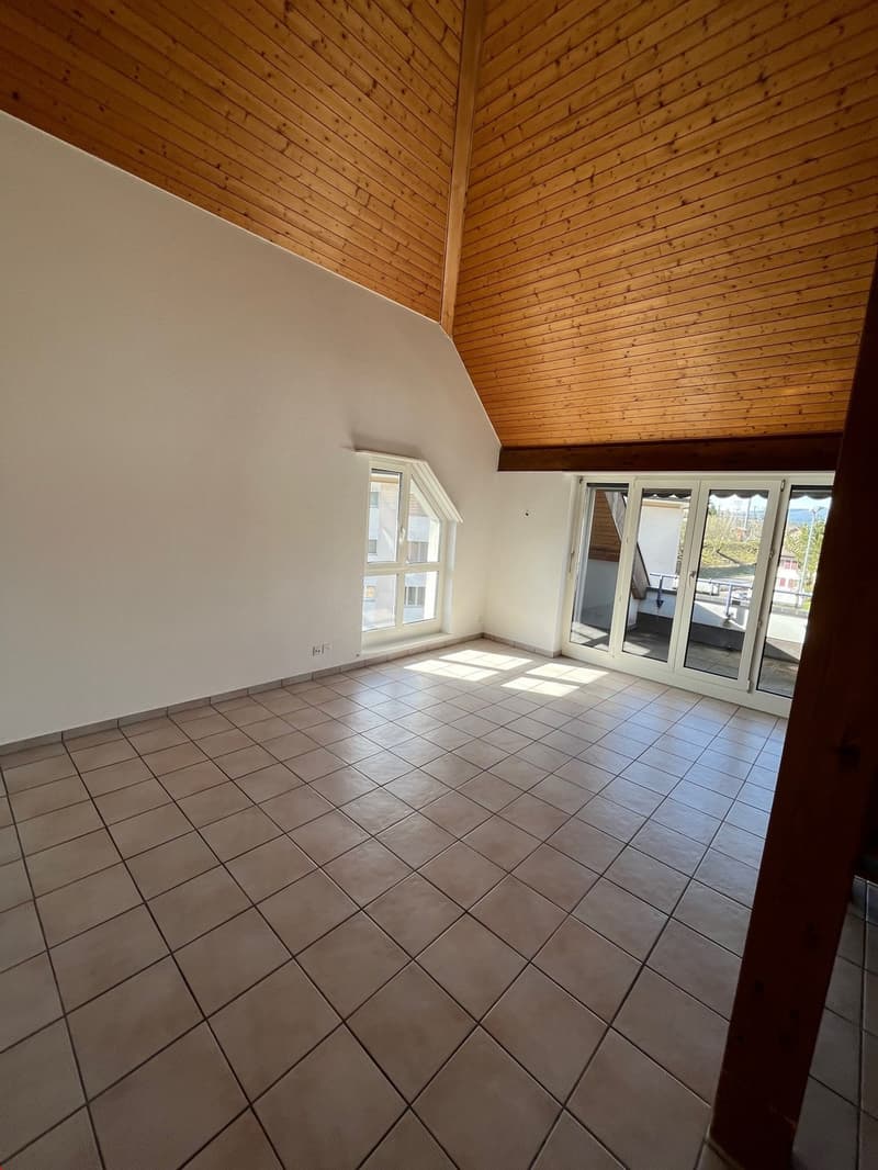 Beautiful 4.5-room duplex with large mezzanine (8)