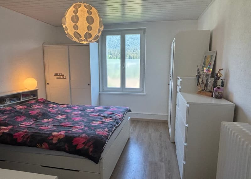 Schönes 4.5-Zimmer-Apartment renoviert (4)