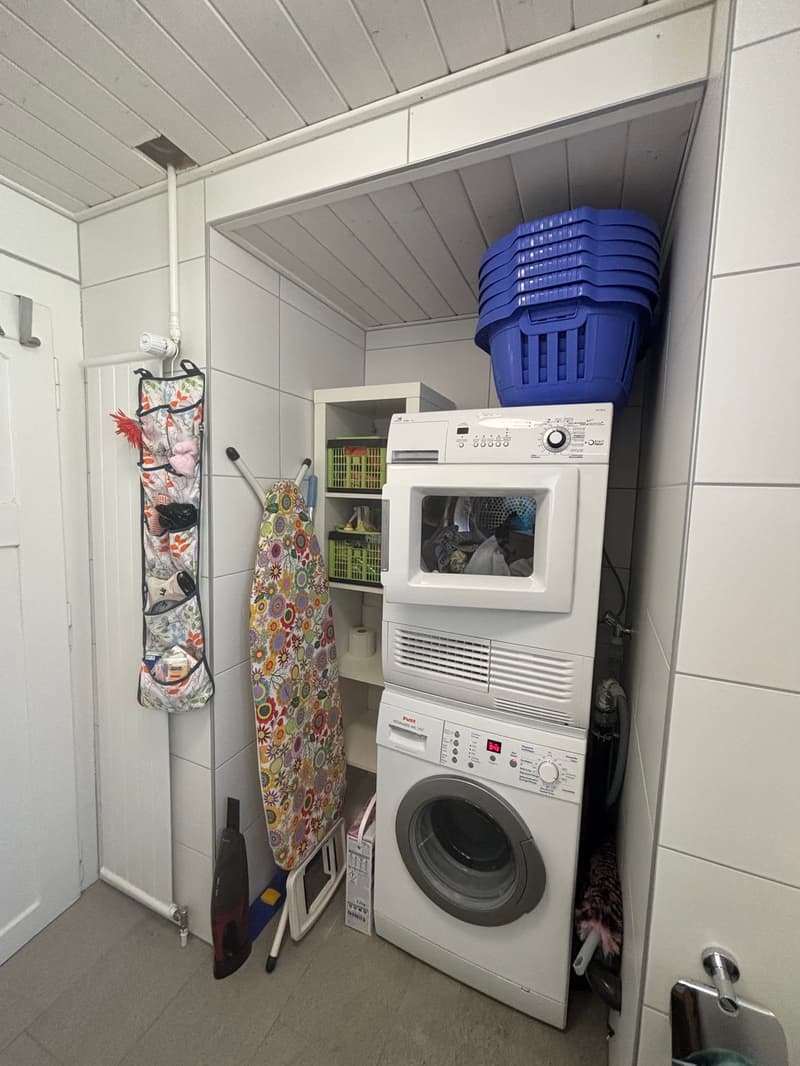 Schönes 4.5-Zimmer-Apartment renoviert (8)