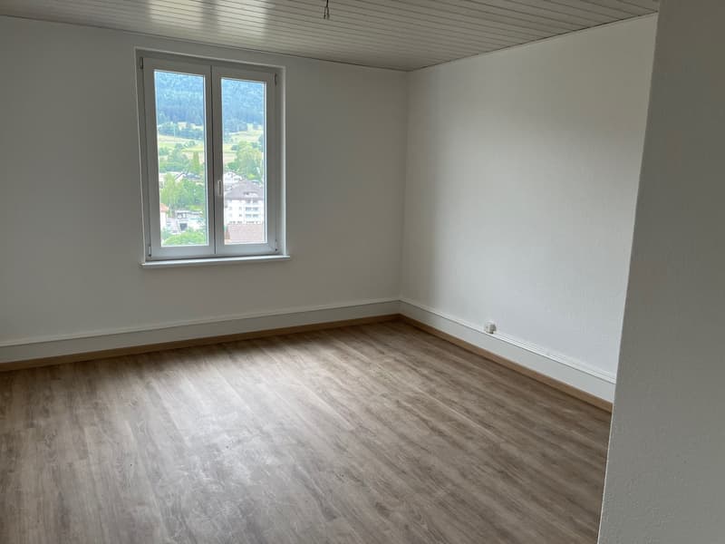 Schönes 4.5-Zimmer-Apartment renoviert (5)