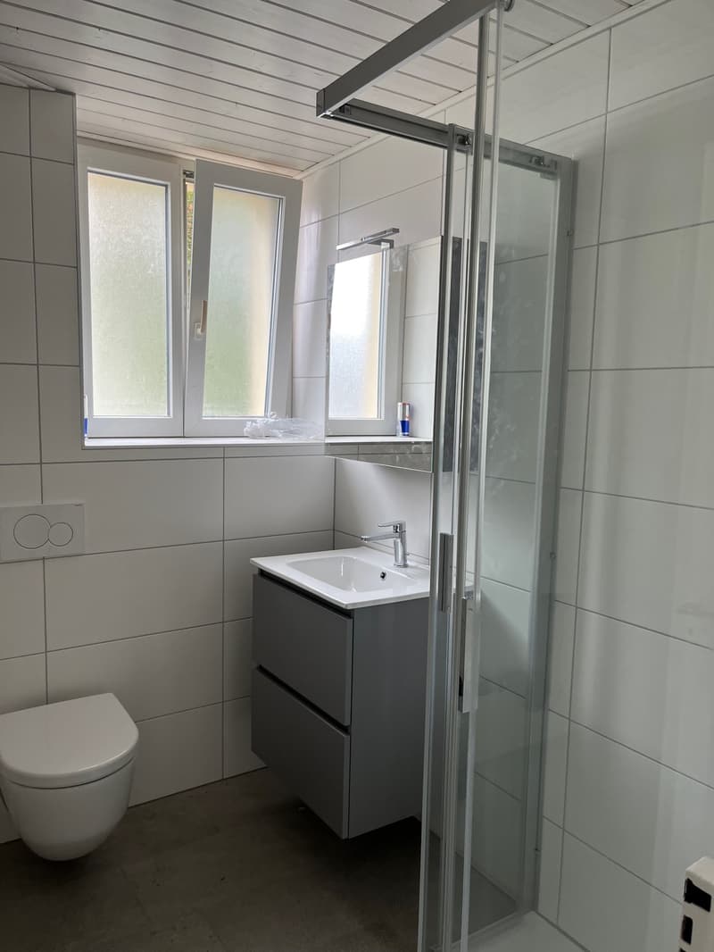 Schönes 4.5-Zimmer-Apartment renoviert (7)