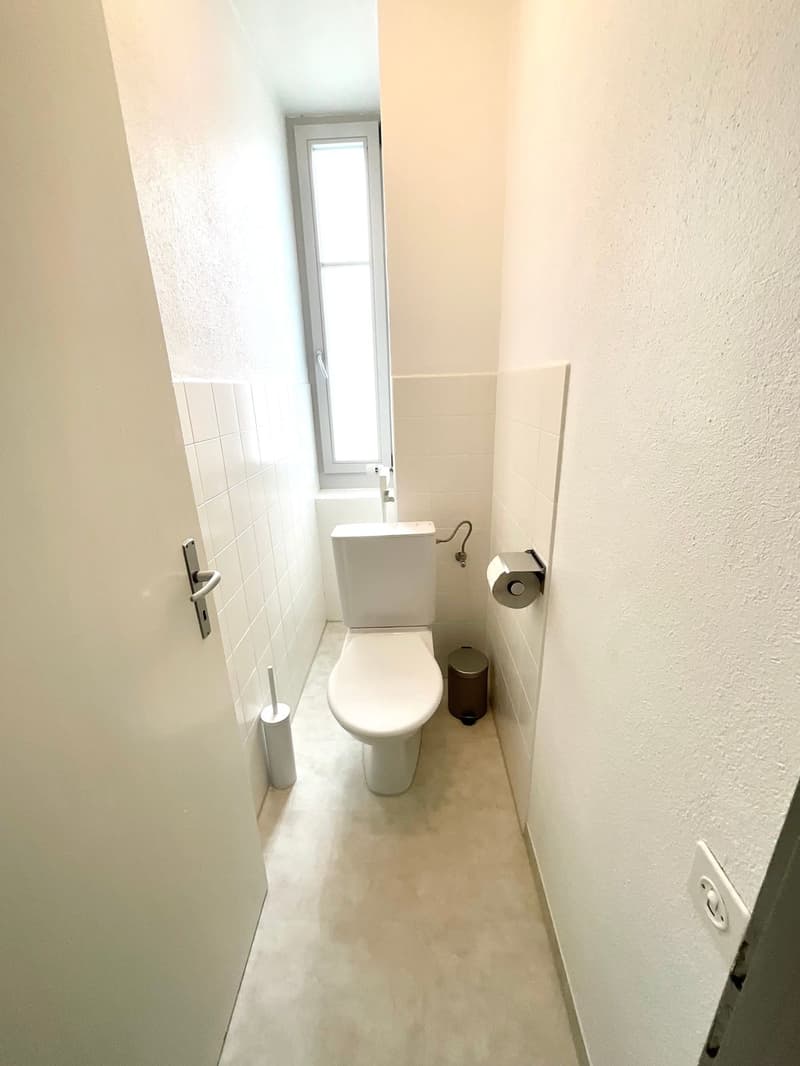 Einkommensgebäude (12)