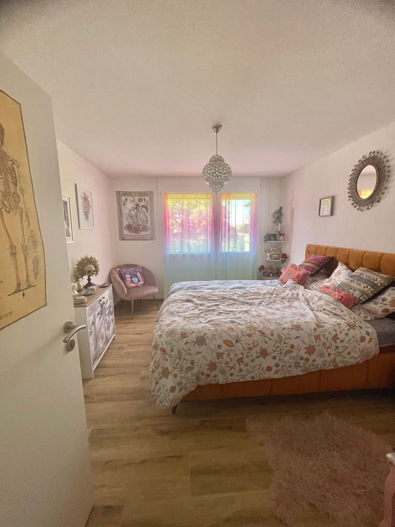 Incantevole appartamento di 2,5 locali (8)