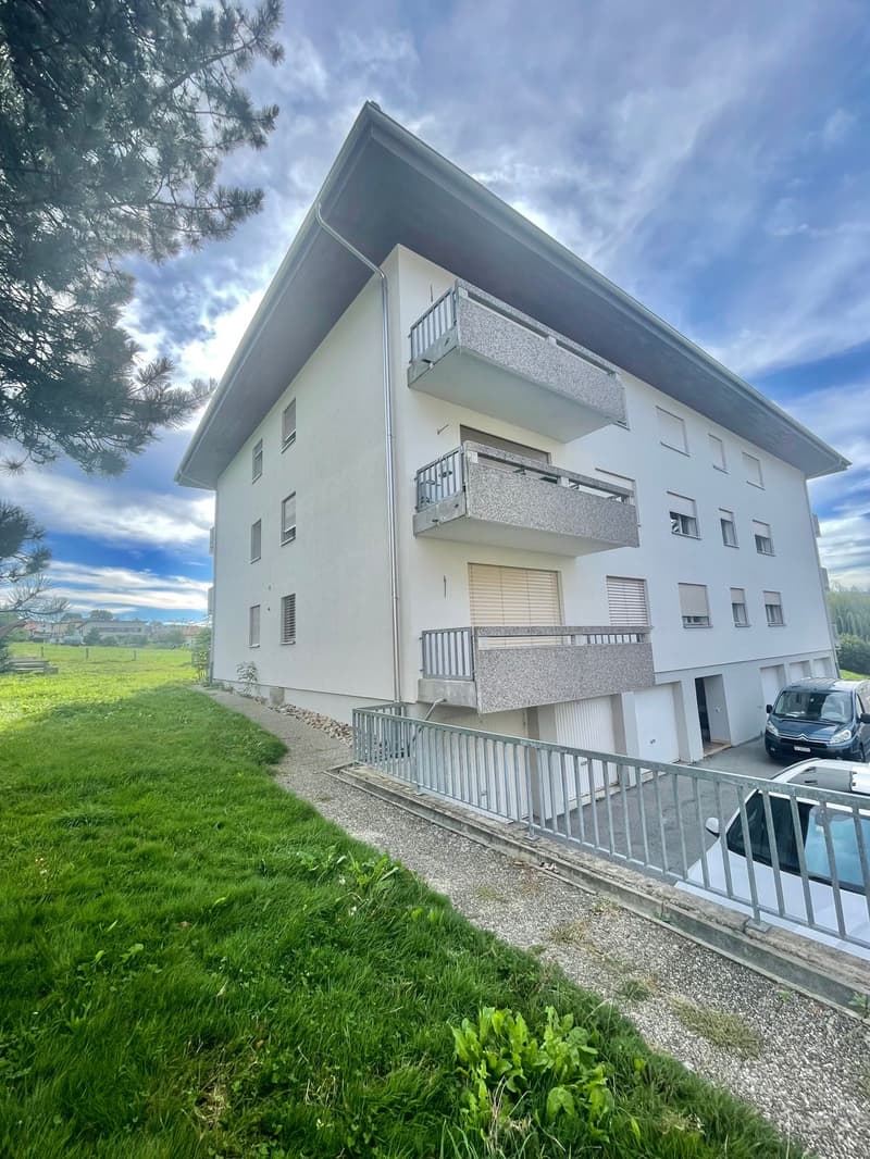 Incantevole appartamento di 2,5 locali (13)