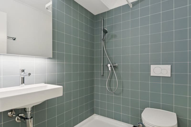 Magnificent renovated 3-room apartment with terrace and elevator (5)