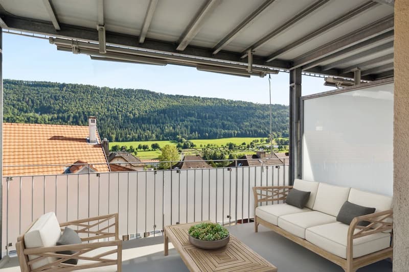 Magnificent renovated 3-room apartment with terrace and elevator (4)