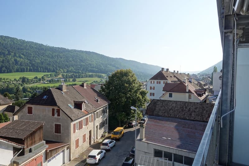 Magnificent renovated 3-room apartment with terrace and elevator (6)