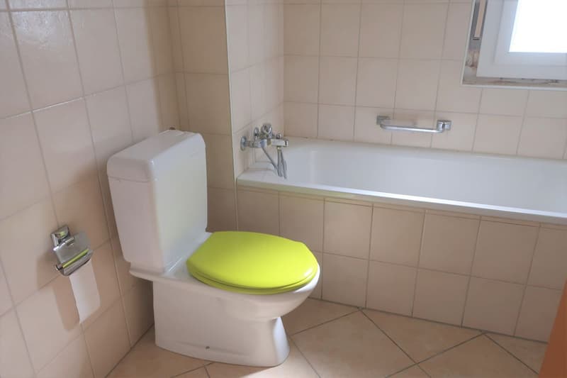Appartamento con 3.5 locali, balcone e ascensore (7)