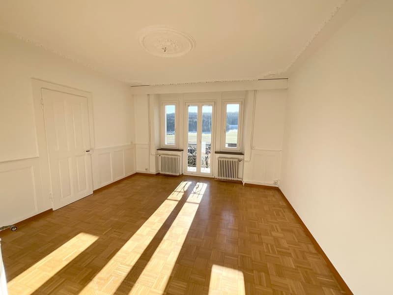 Appartamento con 4.5 locali e piccolo balcone (5)