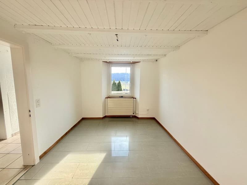 Space and tranquility: superb 4.5 rooms with exceptional garden (4)