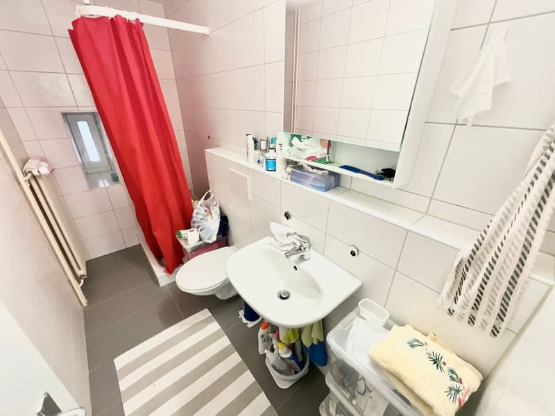 Zweizimmerwohnung mit viel Licht im Erdgeschoss in Sonvilier (6)